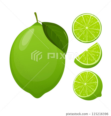 Fresh lime set, with various view of whole lime fruit, halves and slices. Fresh lime set, with various view of whole lime fruit, halves and slices. 115216396