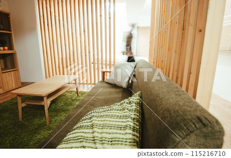 living room, room, sofa 115216710