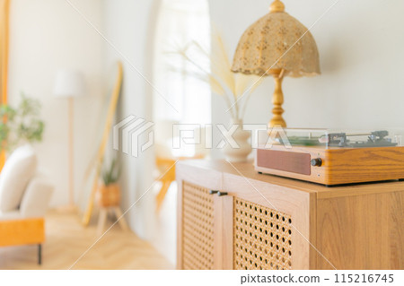 時尚的房間 115216745