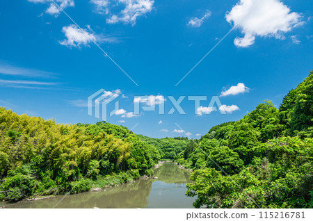 京都府南山城村京都南部的山間溪流木津川 115216781