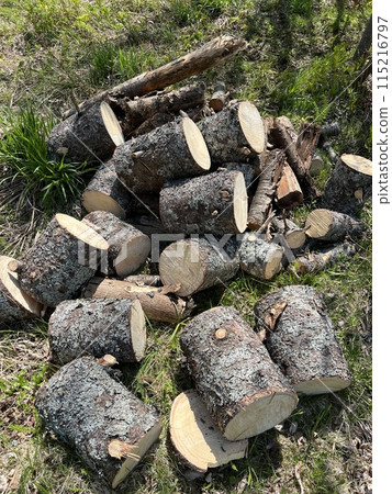 Cutting down trees that felled in a storm to use as firewood for a wood stove 115216797