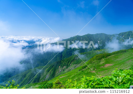 [山素材]夏季的唐松岳/登山風景[長野縣] 115216912