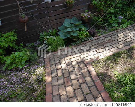 Brick approach with greenery on the side 115216944