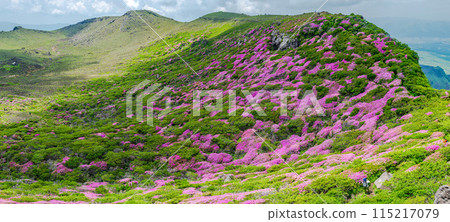 阿蘇高嶽山步道，可欣賞日本水族館的壯麗景色，這是天狗的拍攝地 115217079