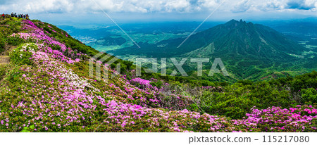阿蘇高嶽山步道,可欣賞日本水族館的壯麗景色,這是天狗的拍攝地 阿蘇高嶽山步道,可欣賞日本水族館的壯麗景色,這是天狗的拍攝地 115217080