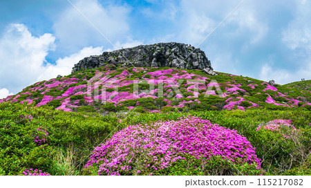 阿蘇高嶽山步道,可欣賞日本水族館的壯麗景色,這是天狗的拍攝地 阿蘇高嶽山步道,可欣賞日本水族館的壯麗景色,這是天狗的拍攝地 115217082