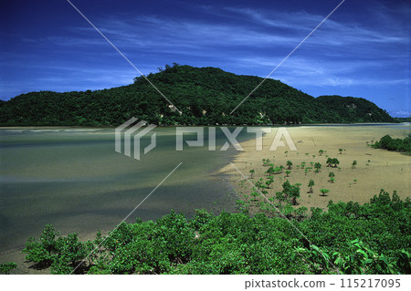 Sandy beach and shallow seascape of Iriomote Island 115217095