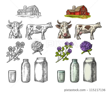 Set Milk farm. Cow head, clover, box carton package, glass and bottle. Set Milk farm. Cow head, clover, box carton package, glass and bottle. 115217136