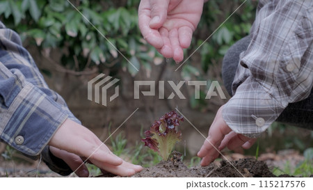 Boy planting a new tree, concept Save the Earth, save the world, save planet, ecology concept.photo 115217576