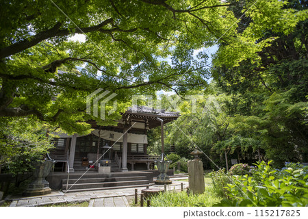 Kamakura 245 Ankokuronji Temple 8 Kamakura 245 Ankokuronji Temple 8 115217825