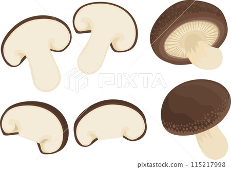 Shiitake illustration set 115217998
