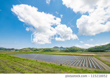 鄉村田野景觀 鄉村田野景觀 115218052