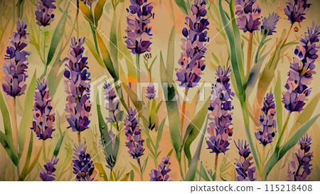 Cute French lavender 115218408