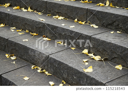 Fallen leaves on stone stairs 115218543
