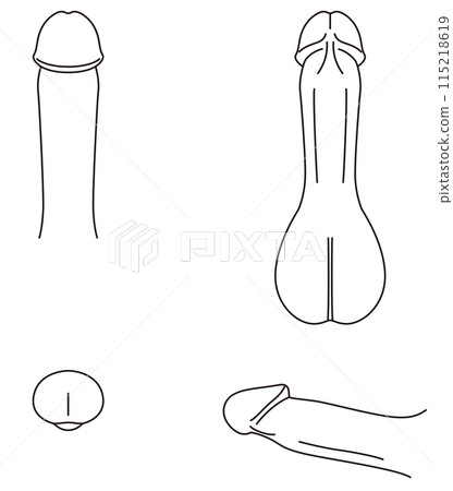 Diagram of the male reproductive system Medical 115218619