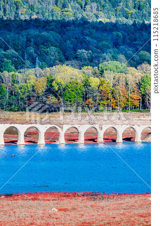 北海道之秋 牛週別川大橋 - 從牛週別展望台出發 - 115218685