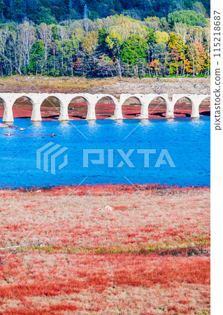 北海道之秋 牛週別川大橋 - 從牛週別展望台出發 - 115218687