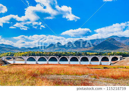 Taushubetsu River Bridge in autumn, Hokkaido 115218739