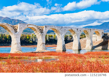 北海道秋天的Taushubetsu河大橋 115218746