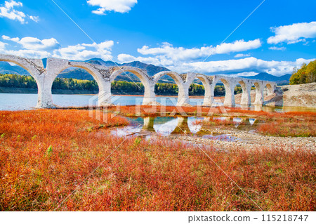 北海道秋天的Taushubetsu河大橋 北海道秋天的Taushubetsu河大橋 115218747
