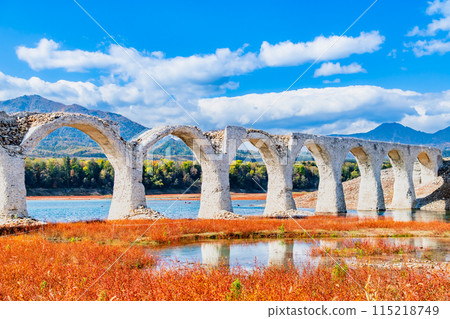 Taushubetsu River Bridge in autumn, Hokkaido 115218749