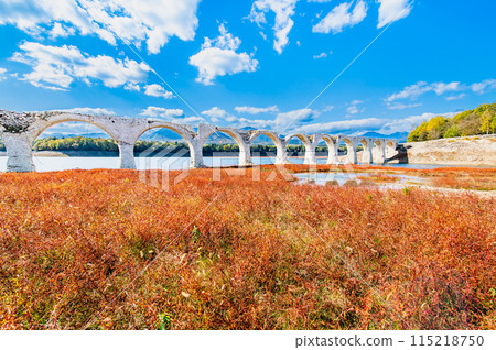 Taushubetsu River Bridge in autumn, Hokkaido Taushubetsu River Bridge in autumn, Hokkaido 115218750