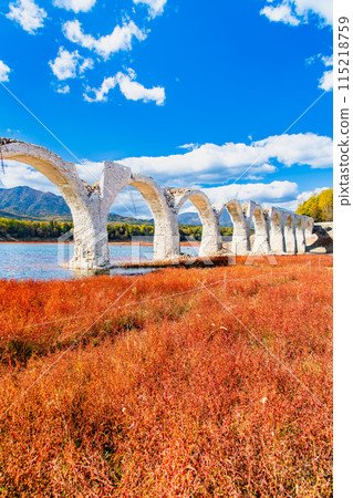 Taushubetsu River Bridge in autumn, Hokkaido Taushubetsu River Bridge in autumn, Hokkaido 115218759