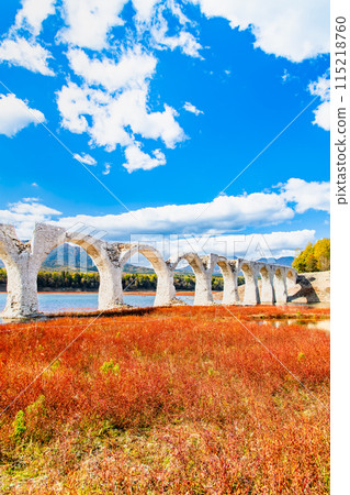 Taushubetsu River Bridge in autumn, Hokkaido 115218760