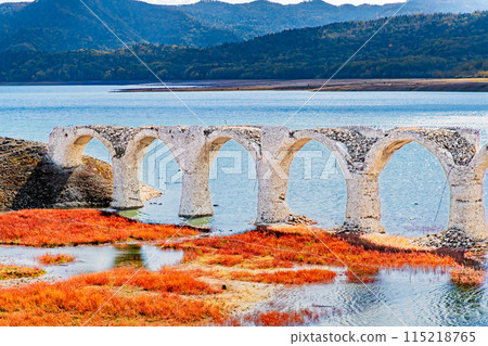 Taushubetsu River Bridge in autumn, Hokkaido 115218765