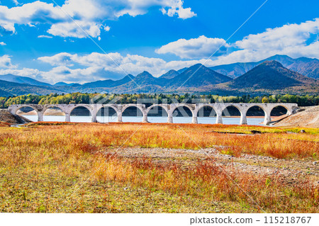 Taushubetsu River Bridge in autumn, Hokkaido 115218767