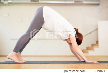 Pregnant woman is engaged in yoga. Downward Dog Pose or Adho Mukha Svanasana Pregnant woman is engaged in yoga. Downward Dog Pose or Adho Mukha Svanasana 115219071