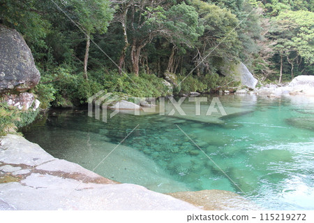 屋久島永田河上游的清澈海水 115219272