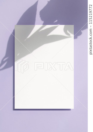 Card mock-up with plant shadow 115219772