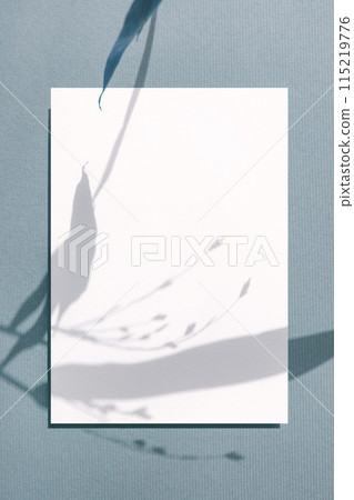 Card mock-up with plant shadow 115219776