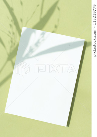 Card mock-up with plant shadow 115219779