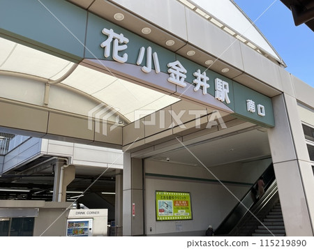 Hanagogii站 115219890