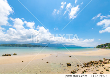 A shallow seascape A shallow seascape 115219925