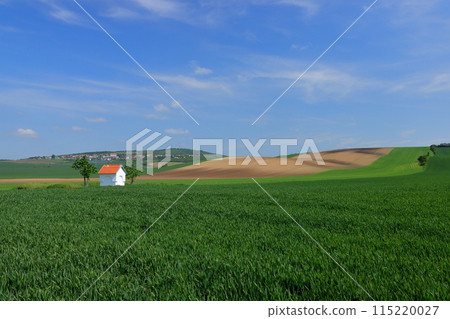 View of the Moravian steppe with a small chapel near Stawiese in the South Moravian region of the Czech Republic in Central Europe View of the Moravian steppe with a small chapel near Stawiese in the South Moravian region of the Czech Republic in Central Europe 115220027