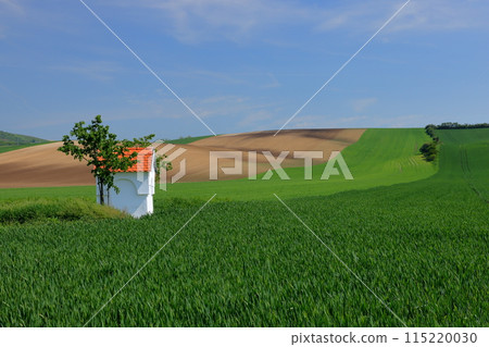 中歐捷克共和國南摩拉維亞斯塔維塞附近的摩拉維亞草原景觀和一座小教堂 中歐捷克共和國南摩拉維亞斯塔維塞附近的摩拉維亞草原景觀和一座小教堂 115220030