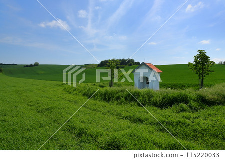 View of the Moravian steppe with a small chapel near Stawiese in the South Moravian region of the Czech Republic in Central Europe 115220033