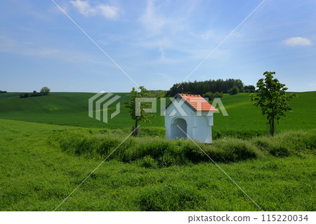 View of the Moravian steppe with a small chapel near Stawiese in the South Moravian region of the Czech Republic in Central Europe 115220034