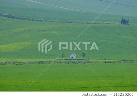 View of the Moravian steppe with a small chapel near Stawiese in the South Moravian region of the Czech Republic in Central Europe View of the Moravian steppe with a small chapel near Stawiese in the South Moravian region of the Czech Republic in Central Europe 115220205