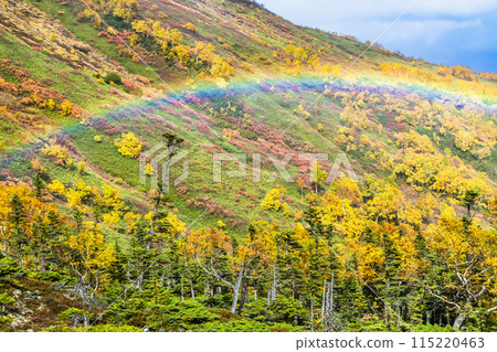 Hokkaido Daisetsuzan Akadake: Ginsendai covered in autumn leaves with a rainbow 115220463