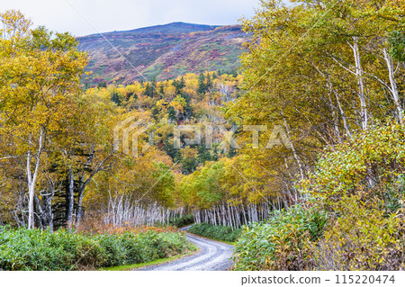 Hokkaido: Mount Akadake in the Daisetsuzan mountains dyed in autumn colors 115220474