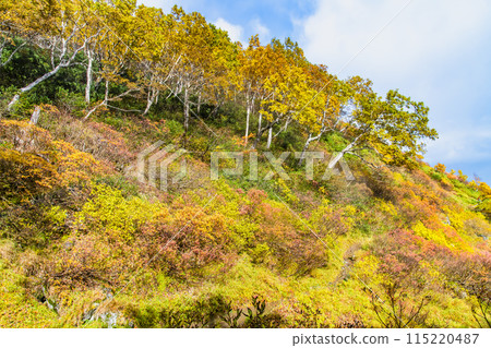 Hokkaido Daisetsuzan Akadake: Ginsendai covered in autumn leaves 115220487