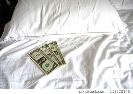 枕頭小費 整理床小費 美元 115220546