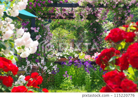 Echigo Hillside National Park Fragrant Rose Festival 115220776