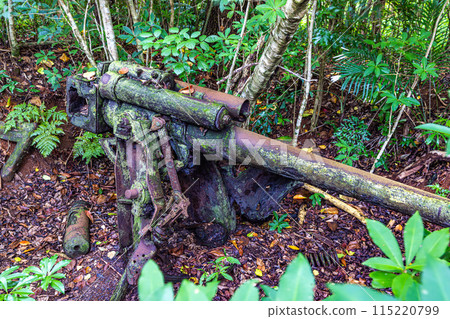 Ogasawara Islands, Hahajima: Battery under searchlight 115220799