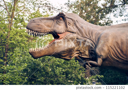 An artificial tyrannosaurus dinosaur, a close-up of a dinosaur head in the jungle. With space to copy. High quality photo 115221102
