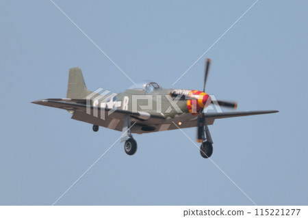 US P-51D Mustang on landing approach 115221277